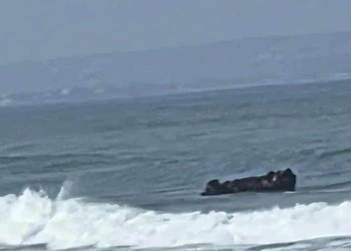N&d Canggu (Bali)